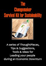 The  Changemaker  Survival Kit for Sustainability
